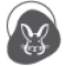 BI Icon Rabbit
